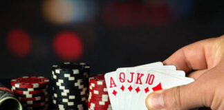 Playinexch Download APK Guide for Mobile Betting Access betting exchange apk